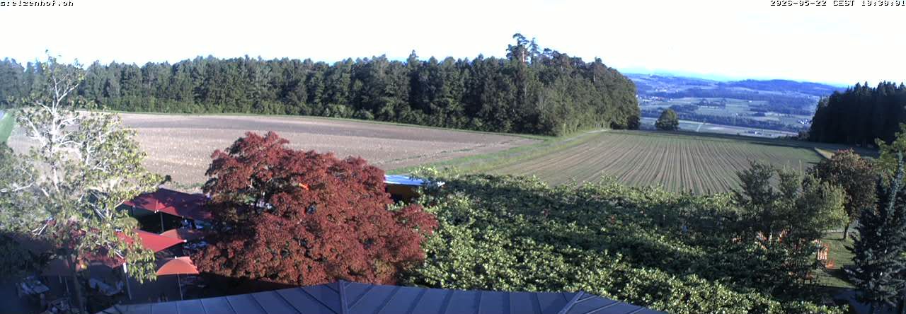 Weinfelden › Süden: Stelzenhof