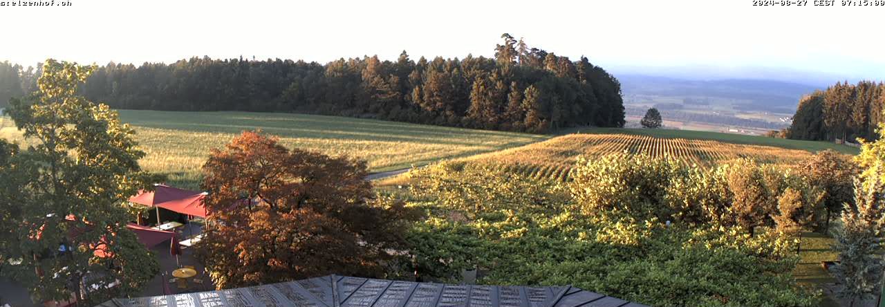 Weinfelden: Stelzenhof