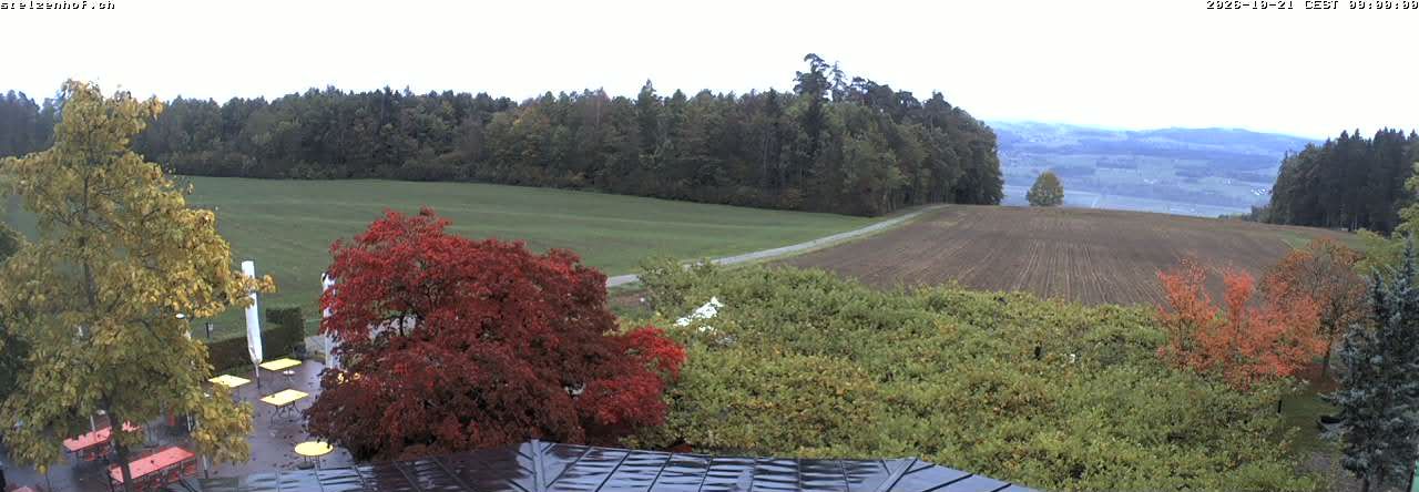Weinfelden › Süden: Stelzenhof