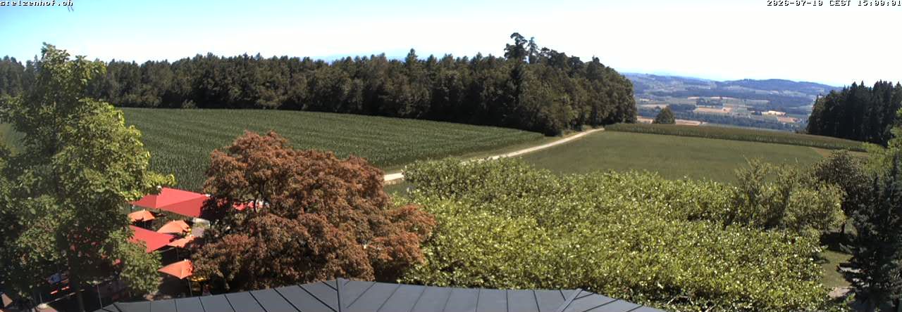 Weinfelden › Süden: Stelzenhof