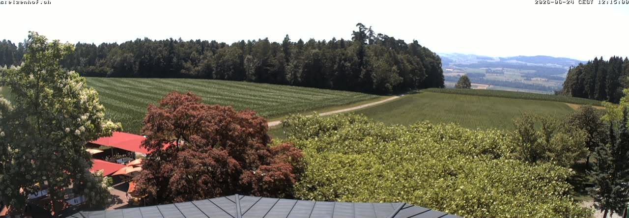 Weinfelden › Süden: Stelzenhof
