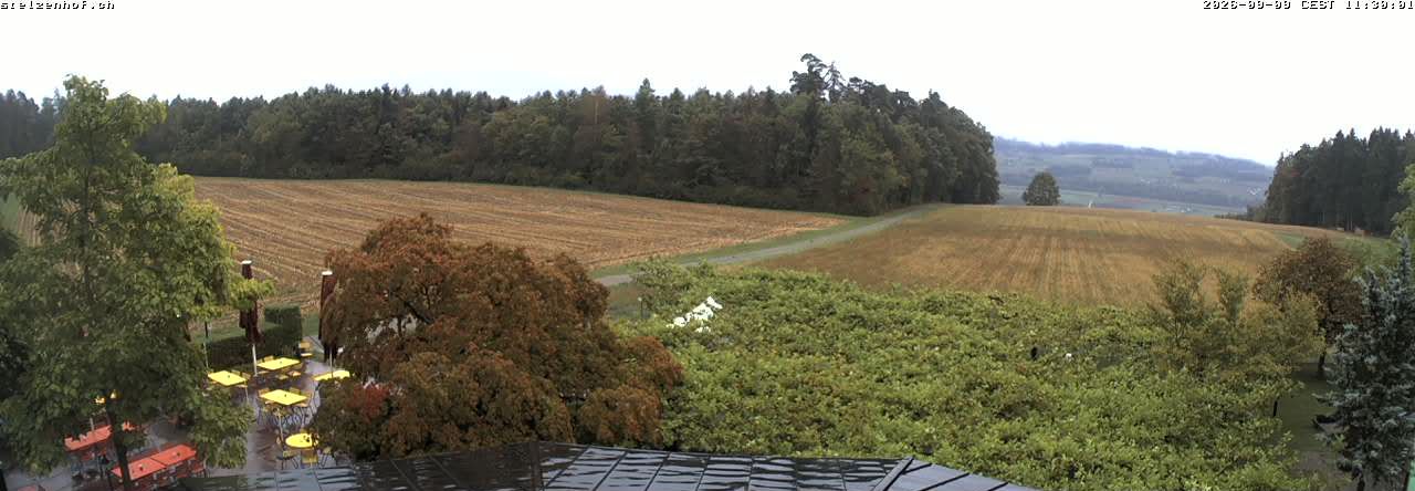 Weinfelden › Süden: Stelzenhof