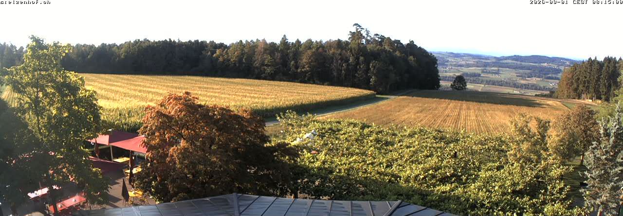 Weinfelden › Süden: Stelzenhof