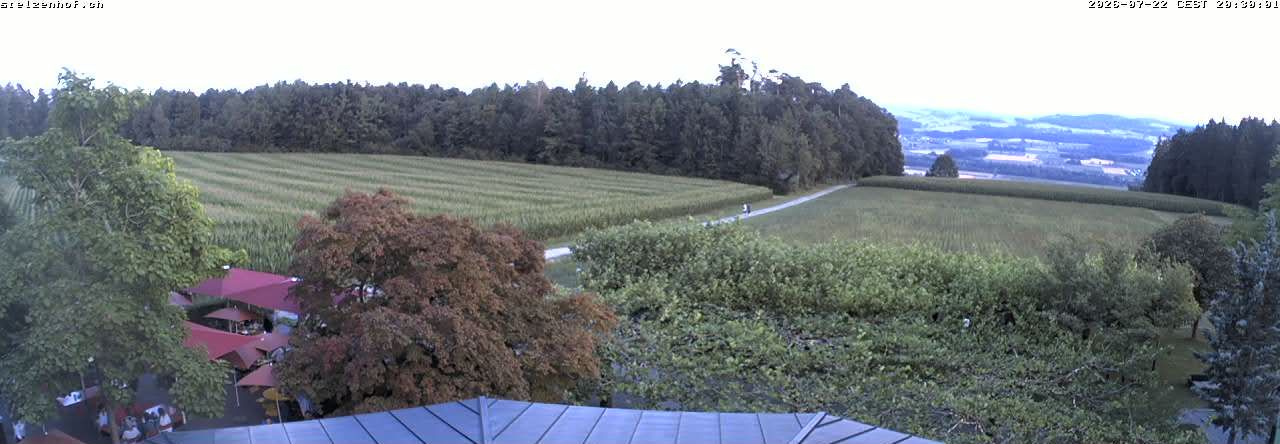 Weinfelden › Süden: Stelzenhof