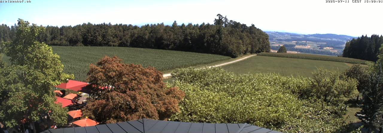 Weinfelden › Süden: Stelzenhof