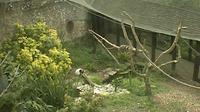 Colden Common: Winchester - Marwell Zoo