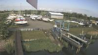 Gdansk: Marina, Cedry Wielkie