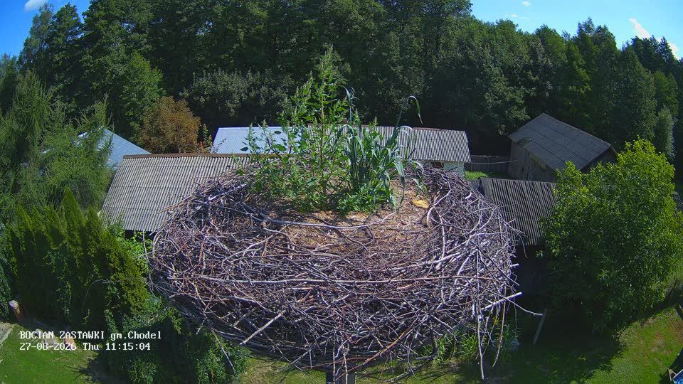 Traffic Cam Zastawki: Storks, Chodel