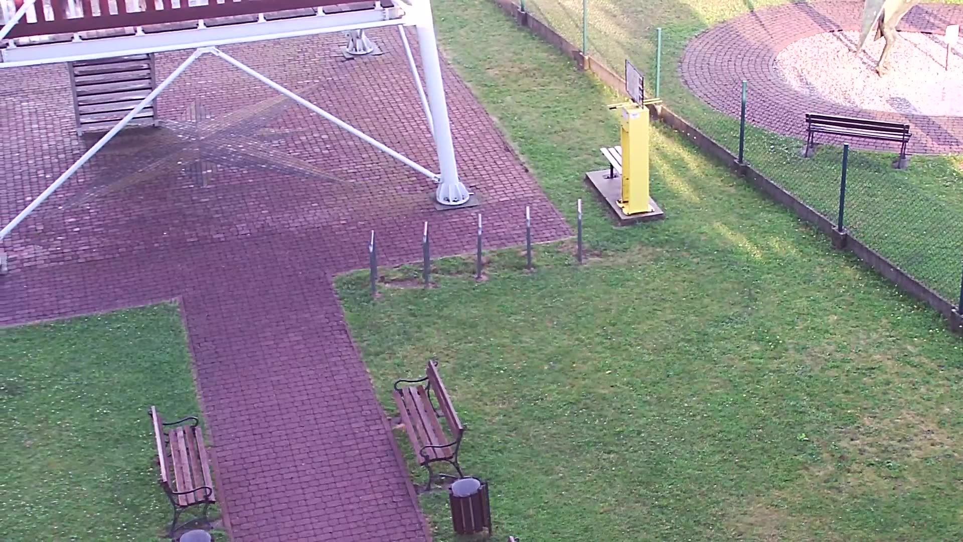 Traffic Cam Globikowa: Dinosaur Park, Dębica