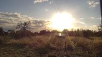 Maruleng Local Municipality: Kruger National Park