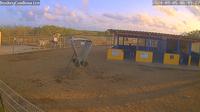 Bonaire: Donkey Sanctuary