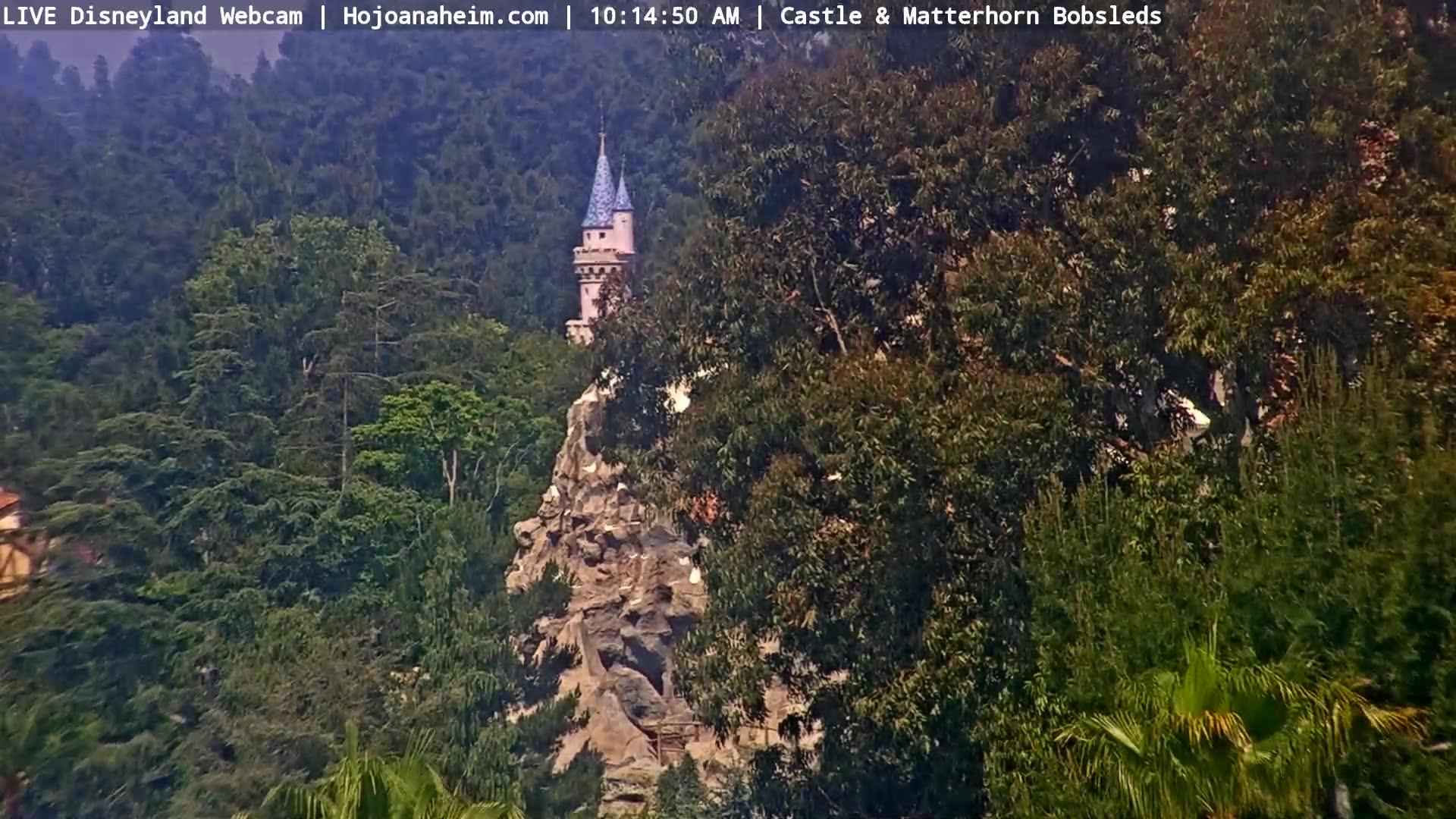 Traffic Cam Anaheim: Disneyland Resort - USA