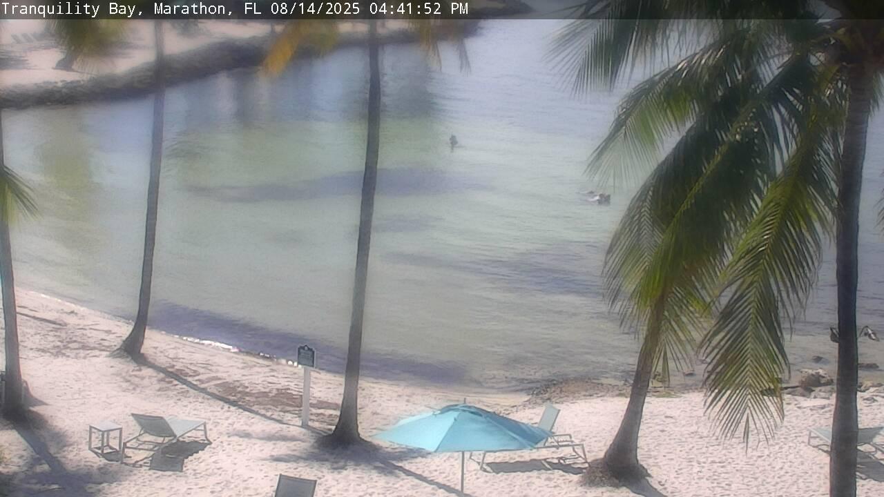 Traffic Cam Marathon: Tranquility Bay - USA