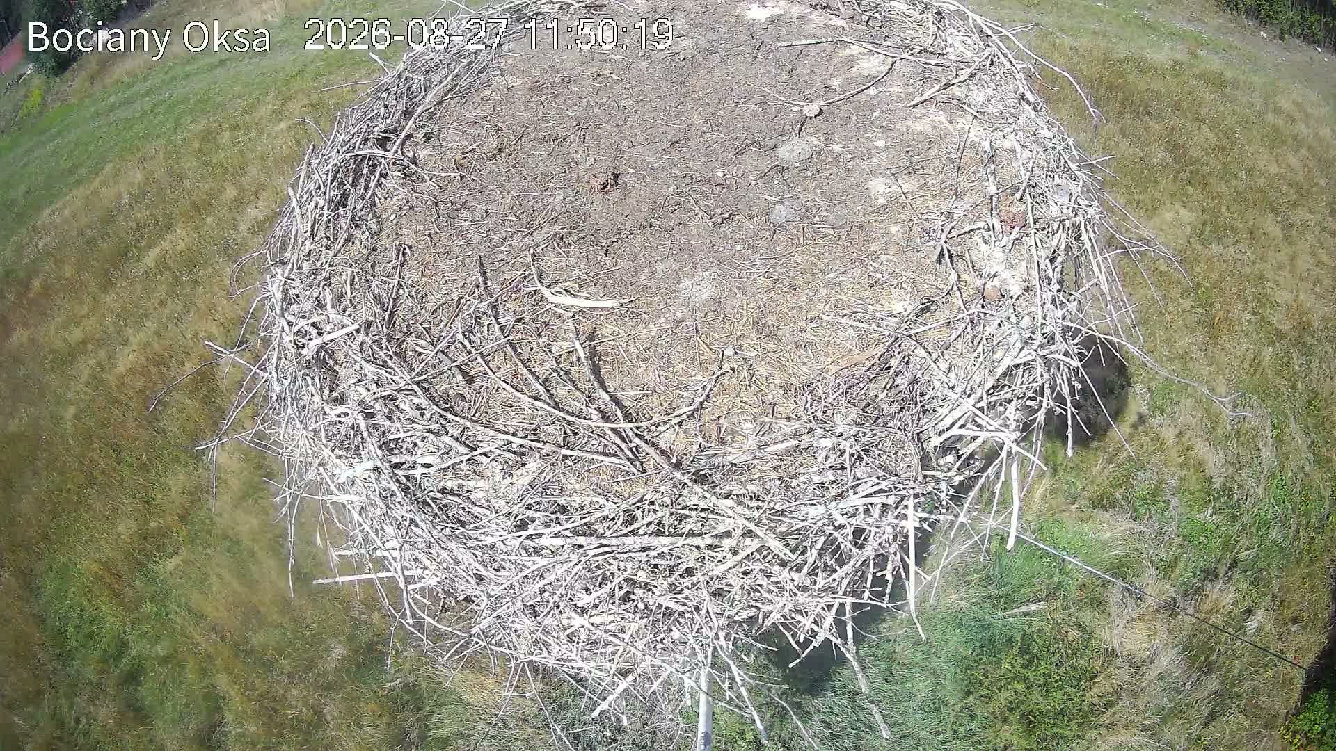Traffic Cam Wegleszyn: Rzeczpospolita