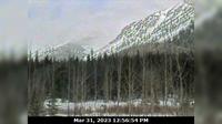 Good Hope Lake > South: Hwy 37 near - looking south at avalanche path. This cam for Geotech group only - Day time