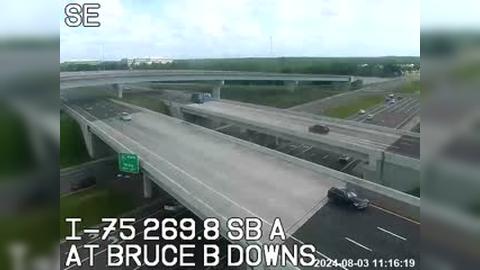 Traffic Cam Tampa: at Bruce B Downs