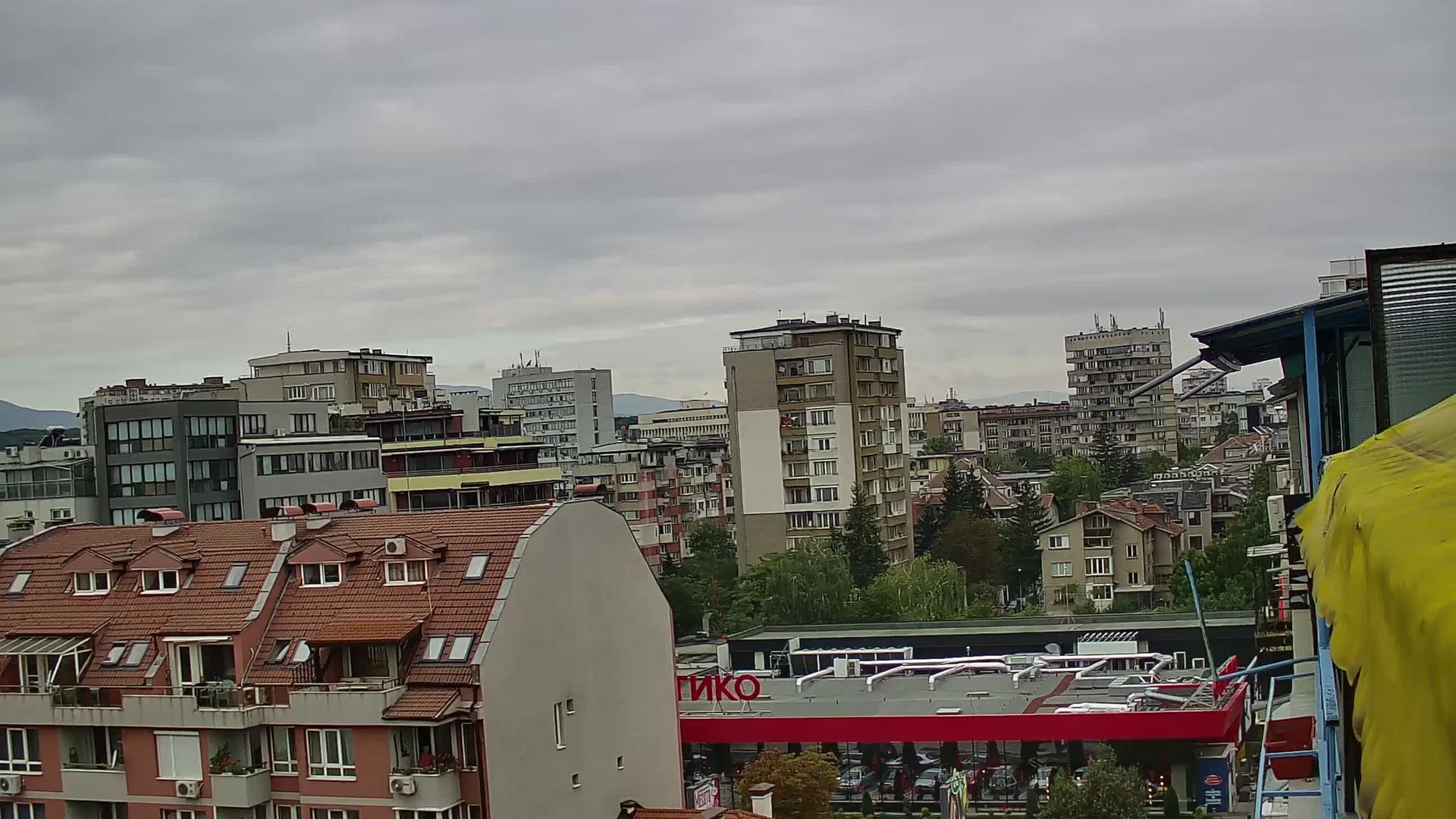 Sofia