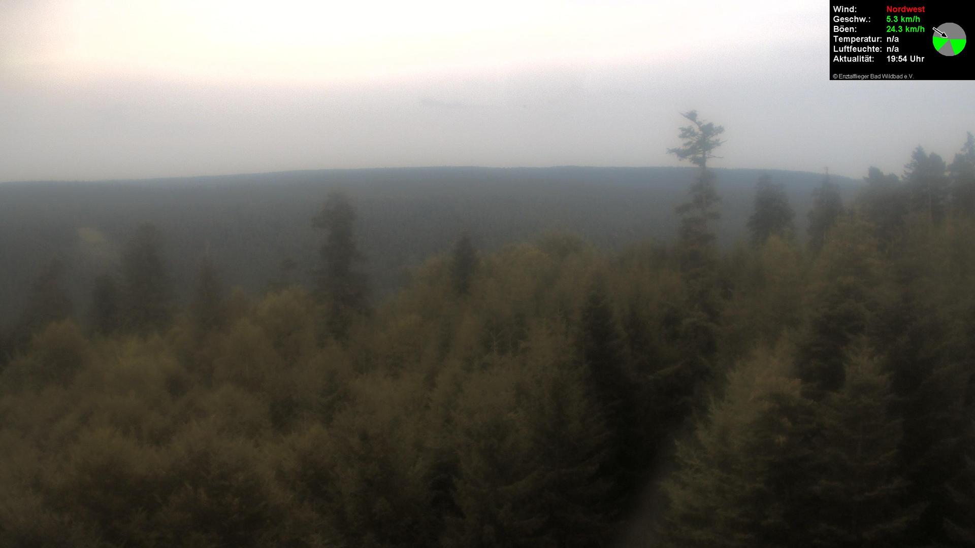 Bad Wildbad forest Webcam