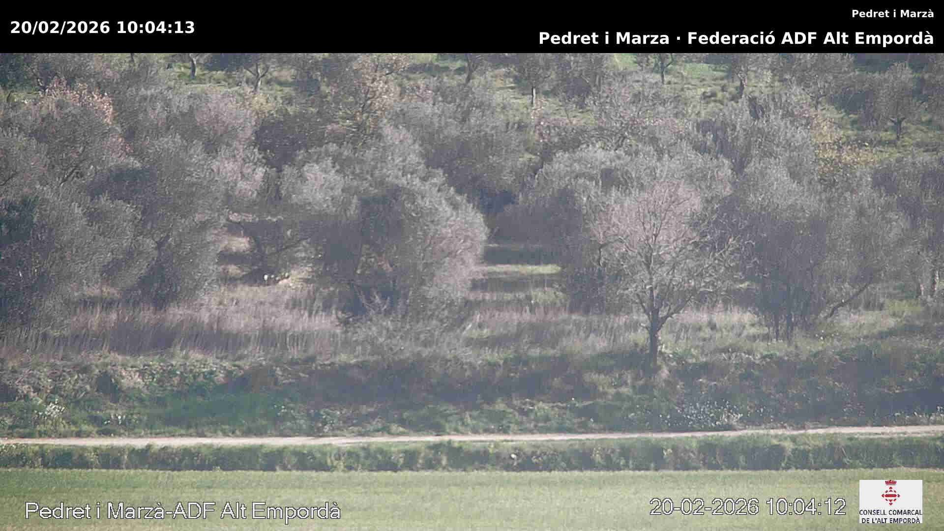 Traffic Cam Pedret i Marza