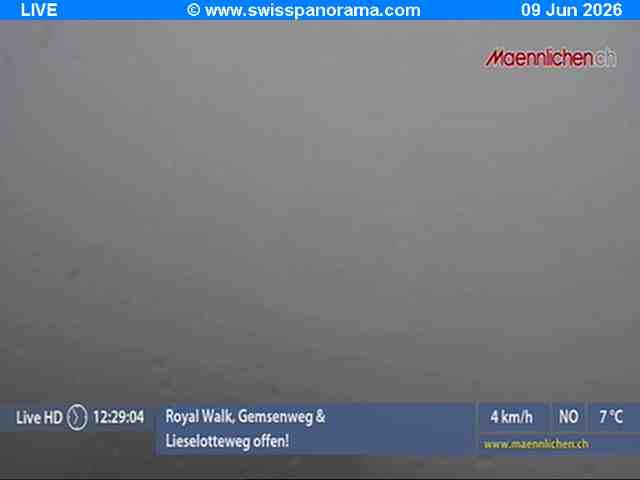 Grindelwald › Südosten: Männlichen, Blick zur Jungfrau