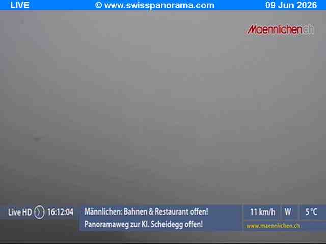 Grindelwald › Südosten: Männlichen, Blick zur Jungfrau