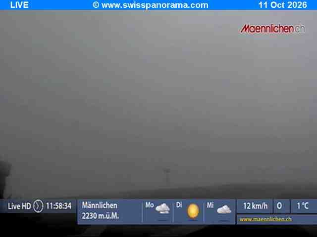 Grindelwald › Südosten: Männlichen, Blick zur Jungfrau