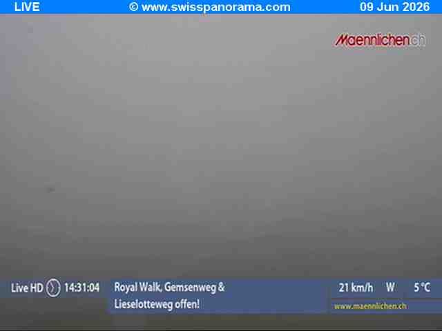 Grindelwald › Südosten: Männlichen, Blick zur Jungfrau