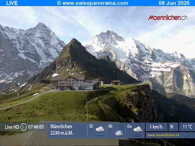 Grindelwald › Südosten: Männlichen, Blick zur Jungfrau