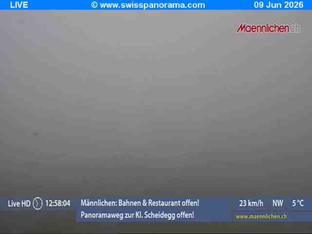 Grindelwald › Südosten: Männlichen, Blick zur Jungfrau