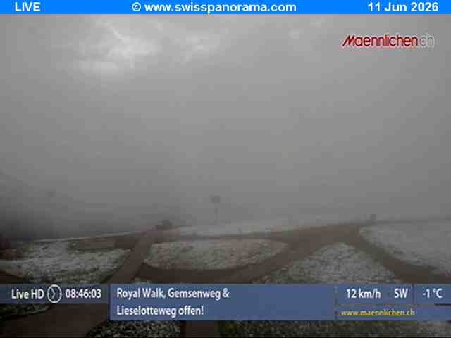 Grindelwald › Südosten: Männlichen, Blick zur Jungfrau