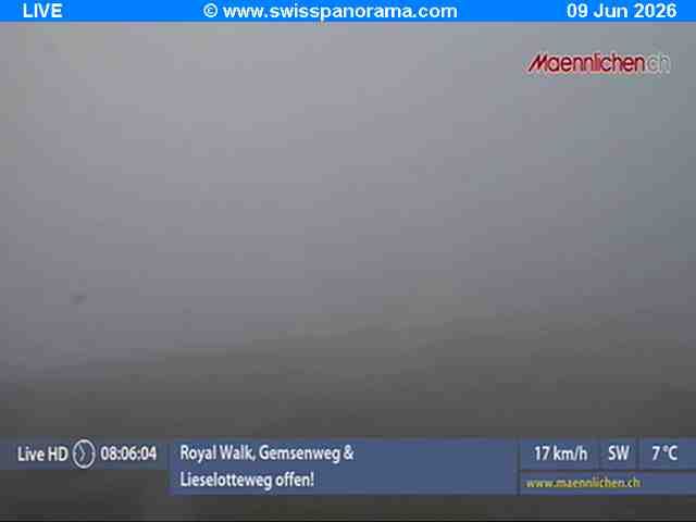 Grindelwald › Südosten: Männlichen, Blick zur Jungfrau
