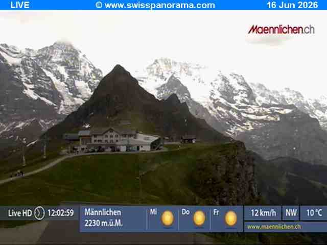 Grindelwald › Südosten: Männlichen, Blick zur Jungfrau