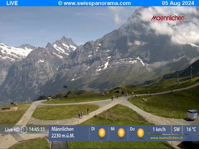 Grindelwald: Männlichen, Blick zur Jungfrau