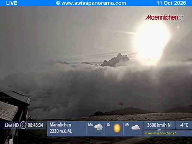 Grindelwald › Südosten: Männlichen, Blick zur Jungfrau