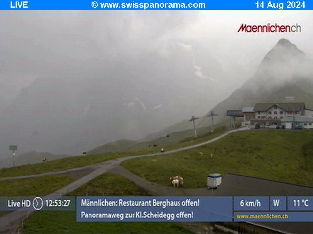 Grindelwald: Männlichen, Blick zur Jungfrau