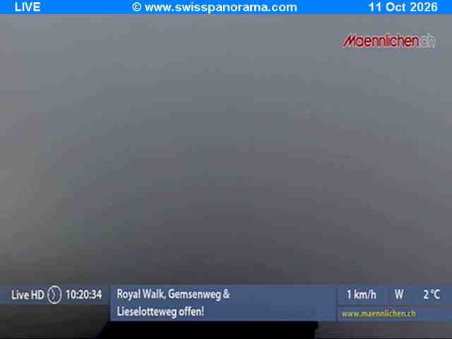 Grindelwald › Südosten: Männlichen, Blick zur Jungfrau