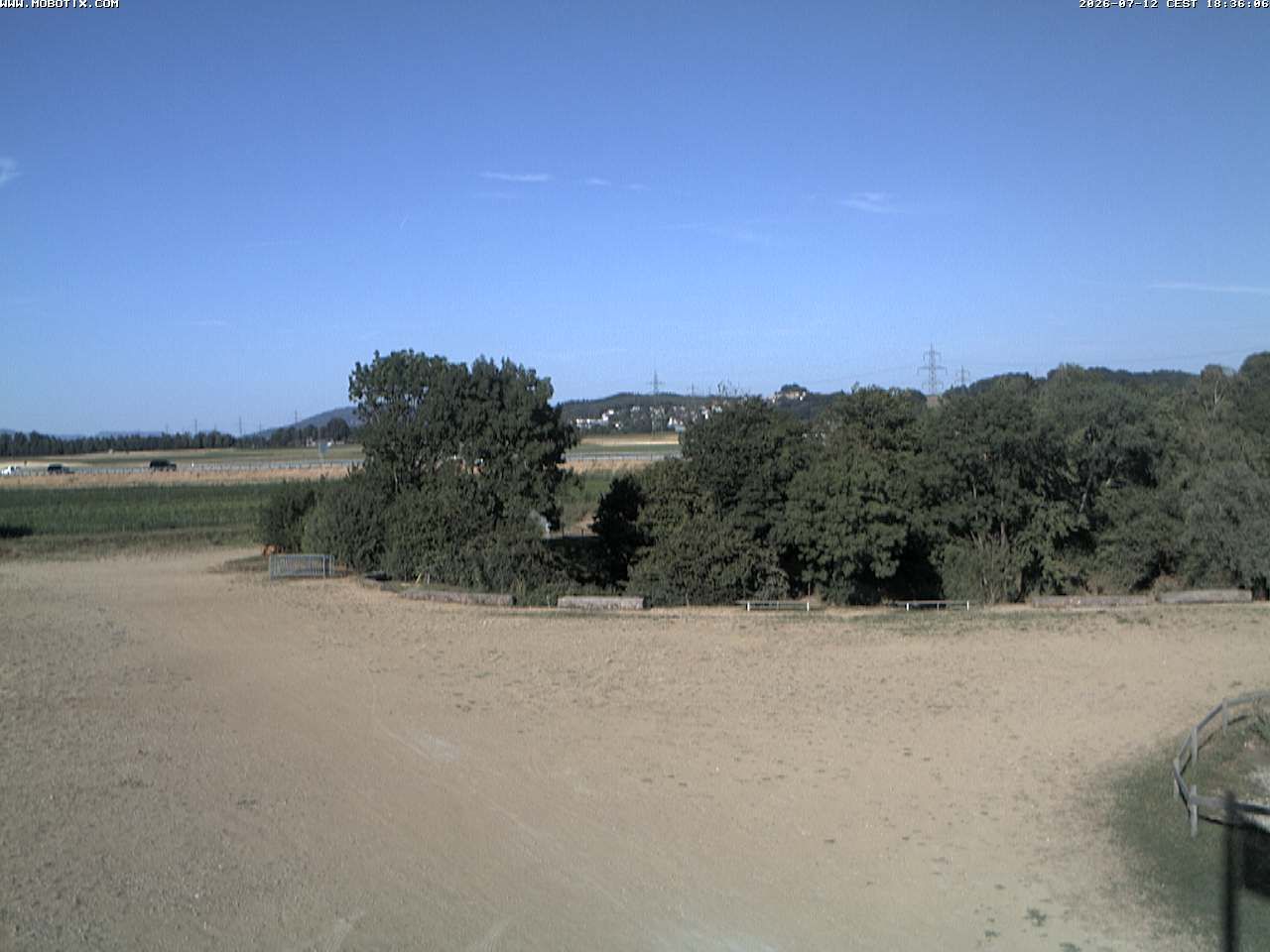 Niederbipp: Moosmattweg
