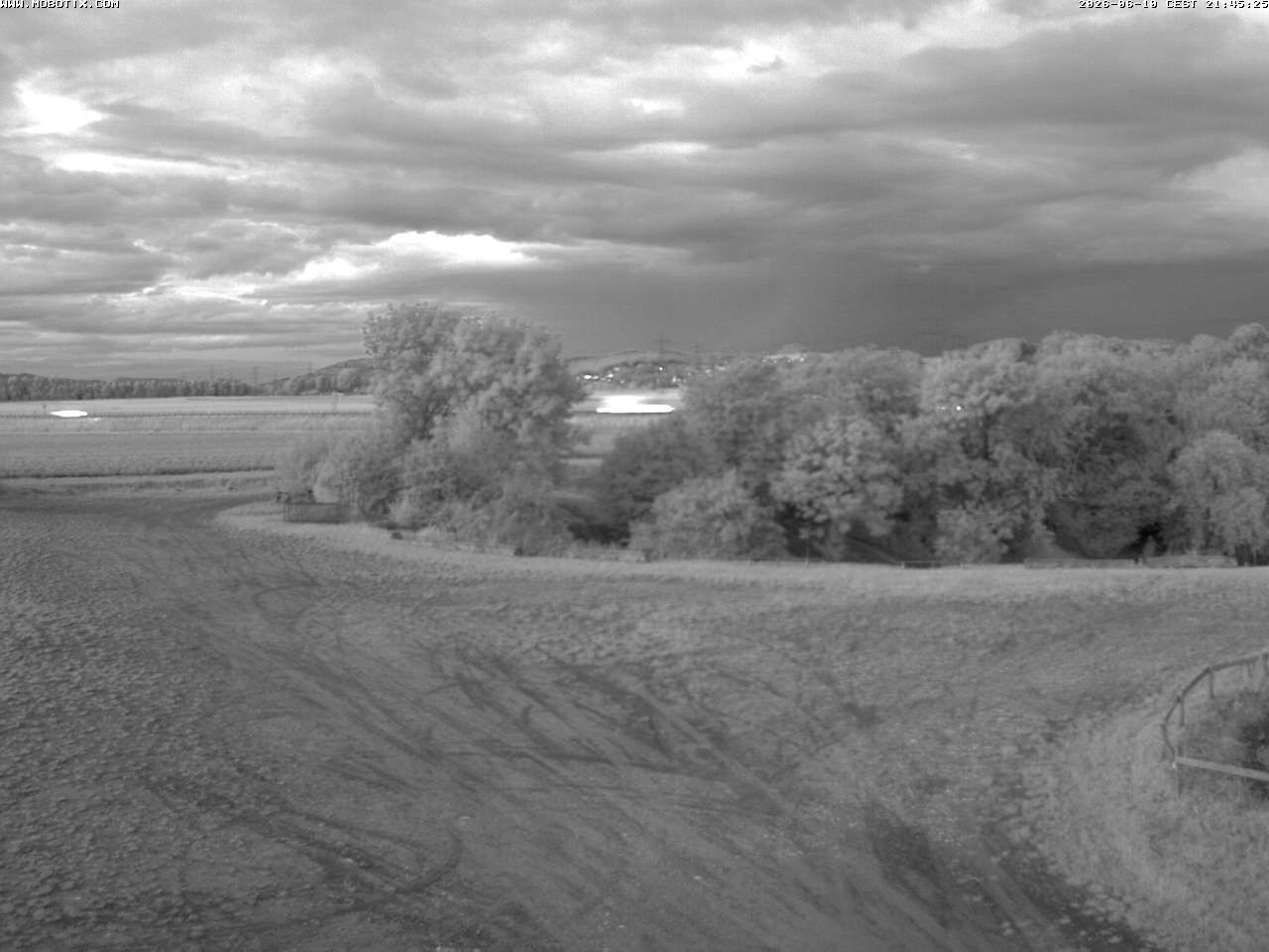 Niederbipp: Moosmattweg