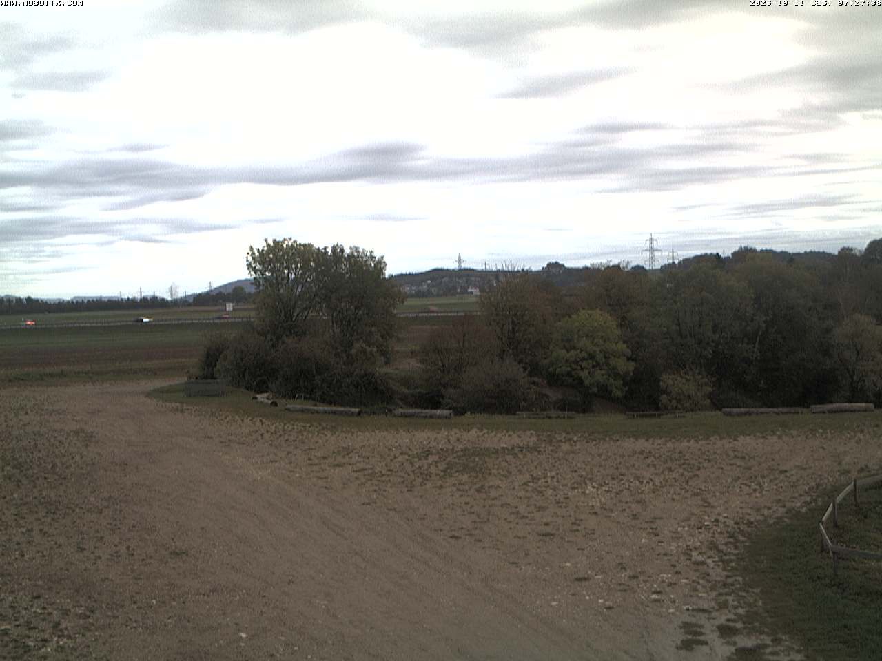 Niederbipp: Moosmattweg
