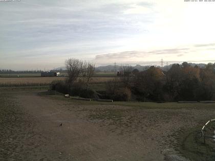 Niederbipp: Moosmattweg