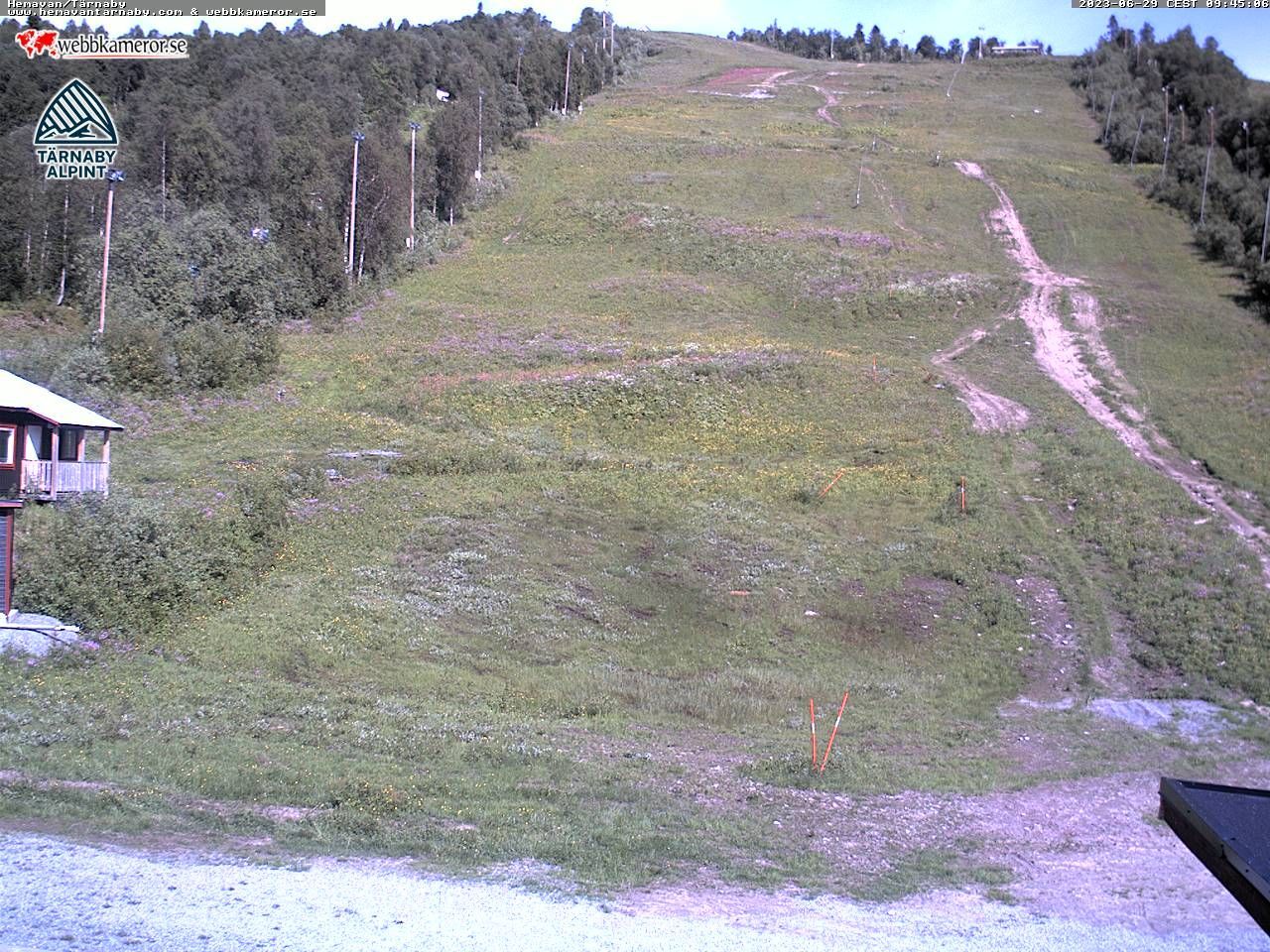 Traffic Cam Tarnaby: Ingemarbacken