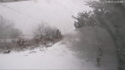 Imagen de webcam diurna Watertown