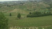 Canelli › South-West: Piedmont