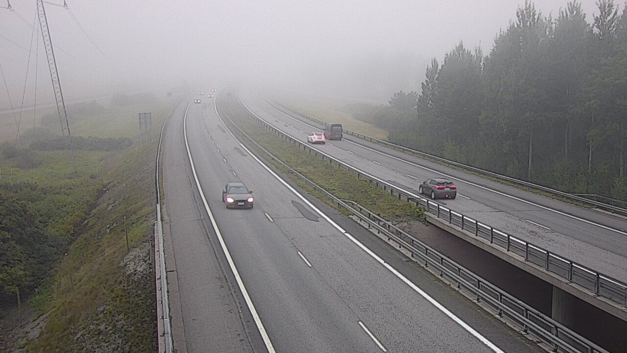 Traffic Cam Paimio: Tie - Valkoja