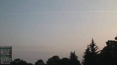 Maple Avenue: Buildings, Landscapes, Weather