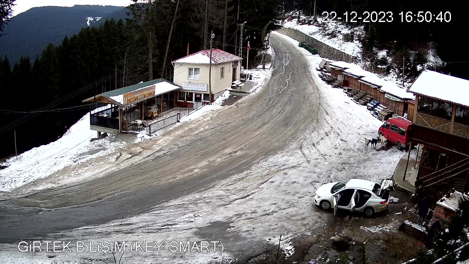 Traffic Cam Dereli