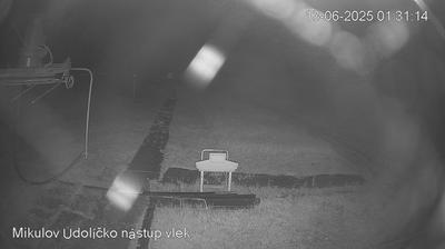 Unterwurschnitz forest webcam