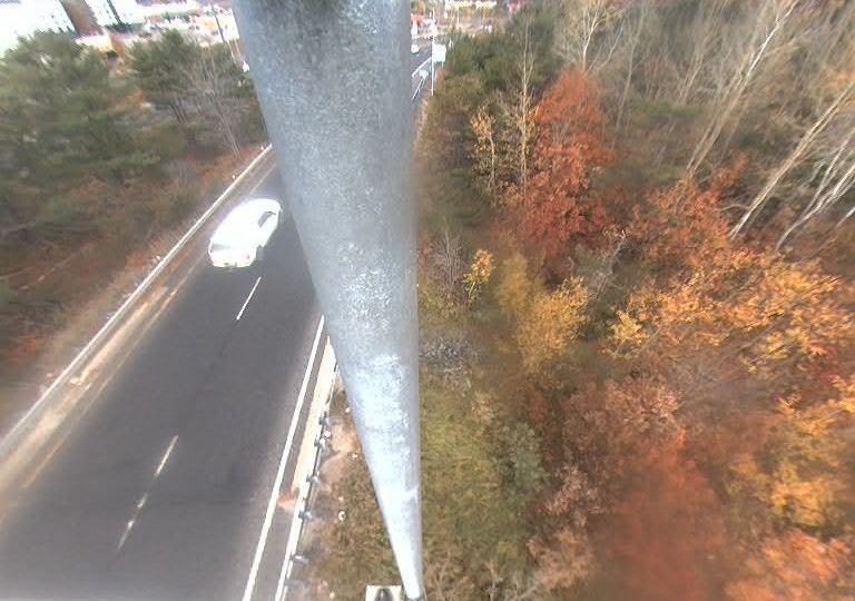 Muskoka webcam