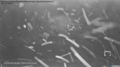 Wald › Südosten: Zimmerwald