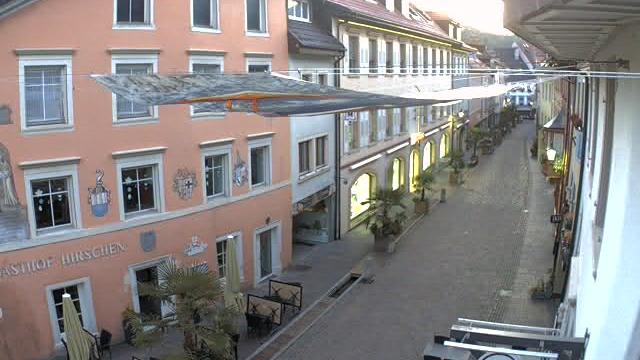 Tiengen Main Street Landscape Webcam